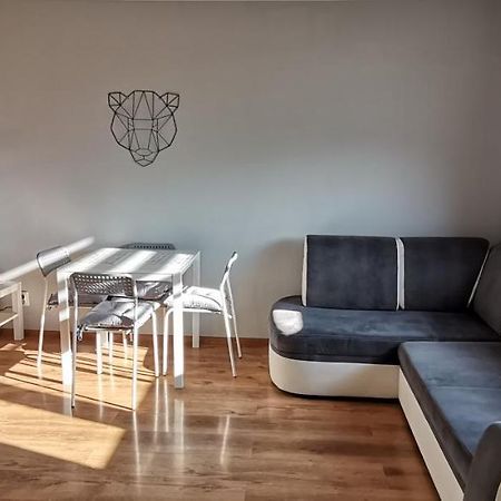 Apartament Przy Papierni Apartment Duszniki Zdroj Exterior photo