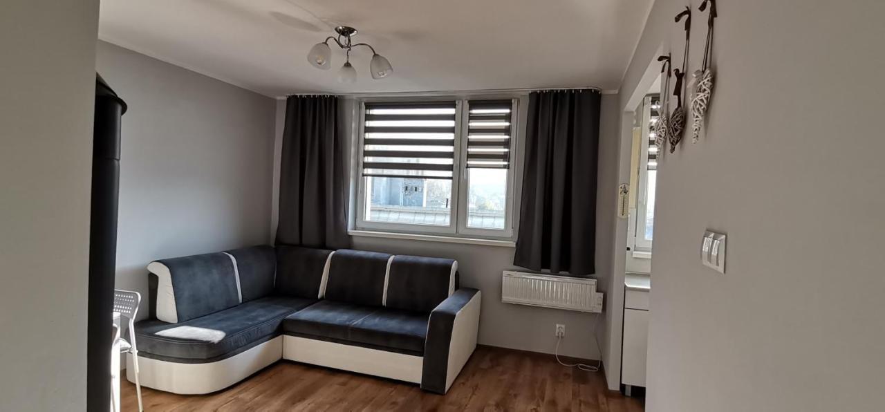 Apartament Przy Papierni Apartment Duszniki Zdroj Exterior photo